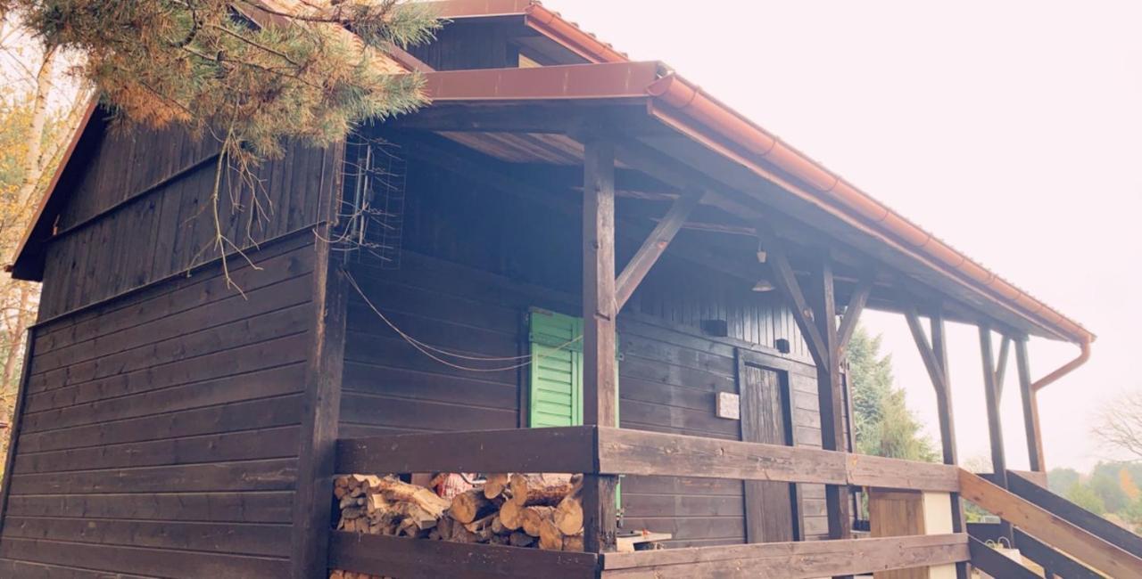 Dom Pod Sosnami Villa Rzewnie Luaran gambar