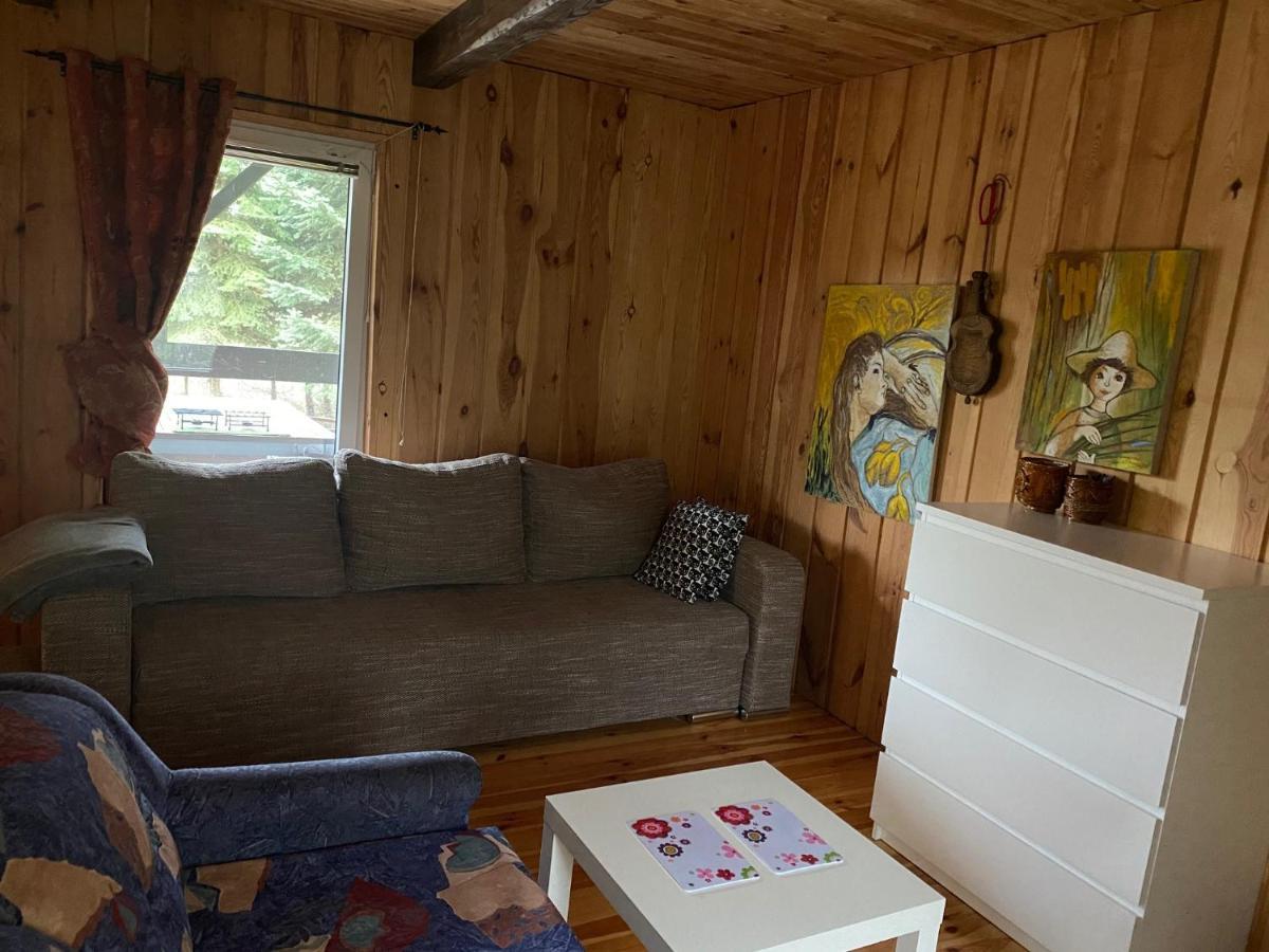 Dom Pod Sosnami Villa Rzewnie Luaran gambar