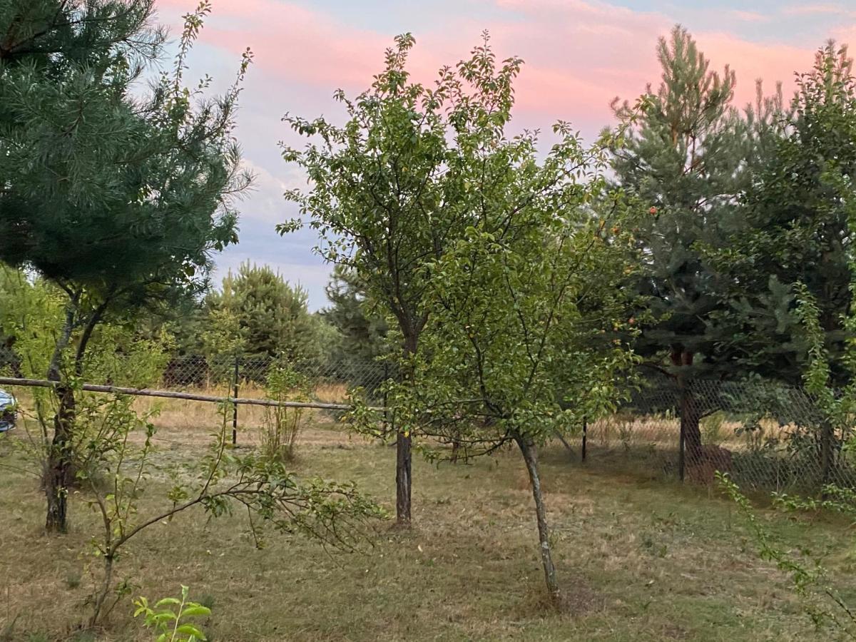 Dom Pod Sosnami Villa Rzewnie Luaran gambar